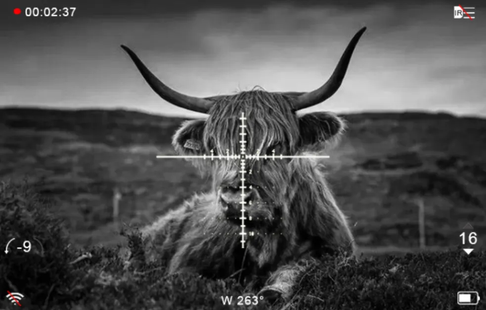 Thermal Imagers And Night Vision Devices