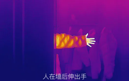 Can Infrared Thermal Imaging Really See Through Walls?