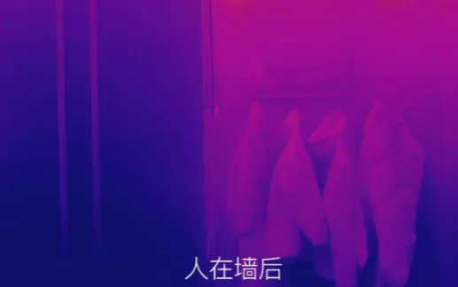 Can Infrared Thermal Imaging Really See Through Walls?