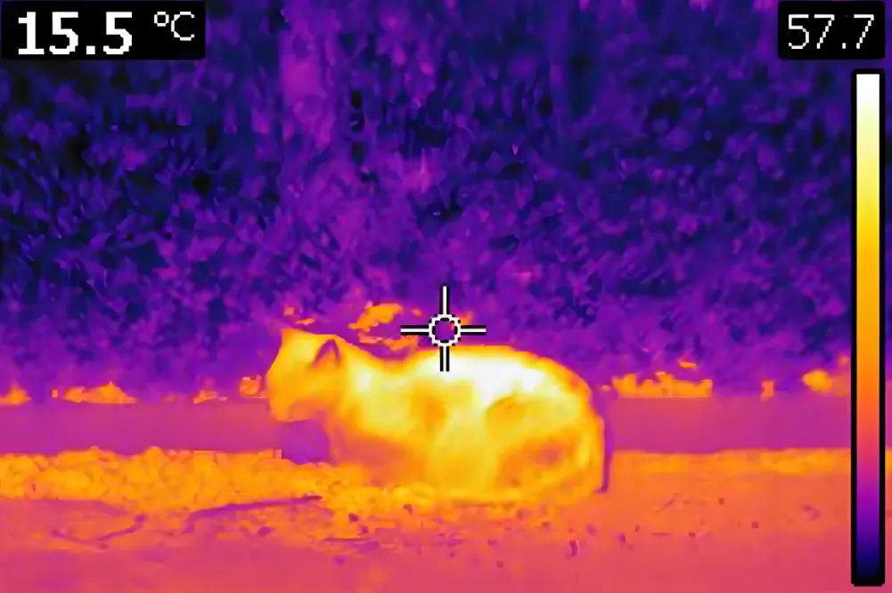 Infrared Thermal Imagers Are The Guardians Of Power Equipment
